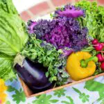 Gardening - Vegetables