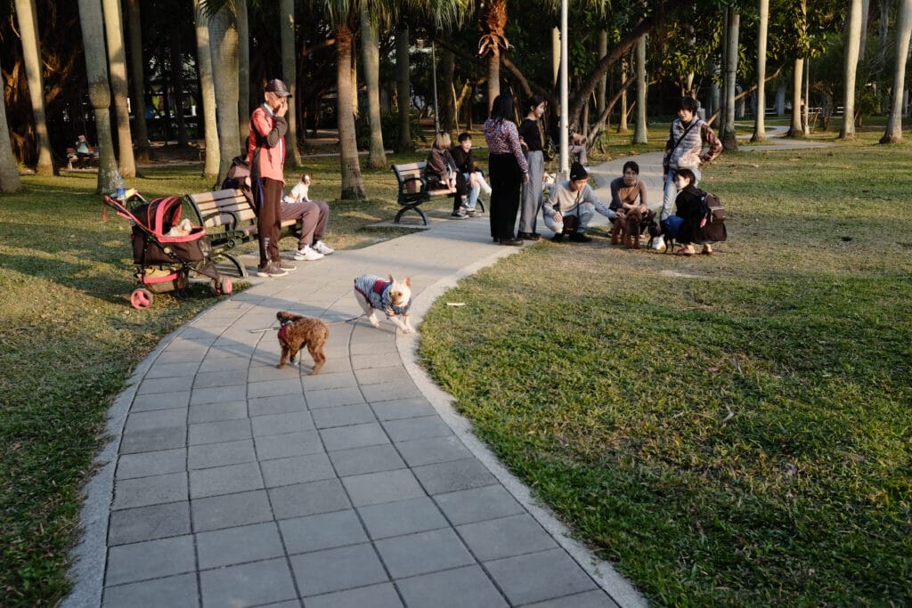 Off Leash Dog Park