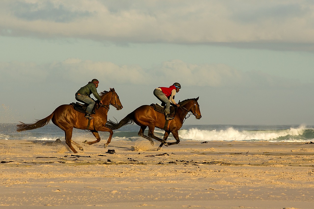 Horseback riding on the beach gripoutdoor