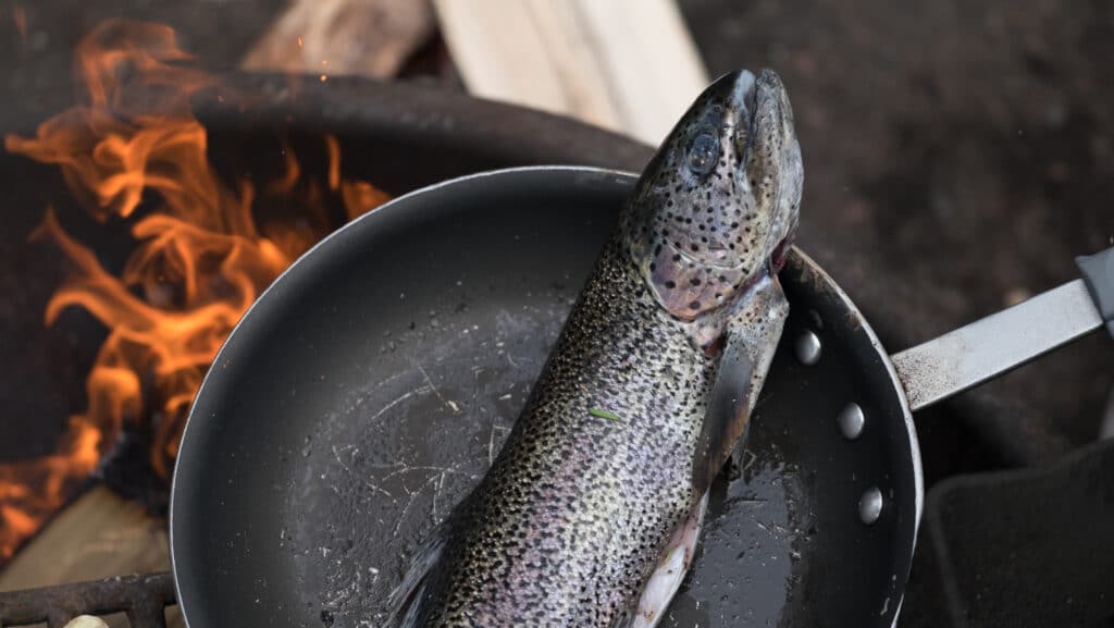 Fish Over a Campfire