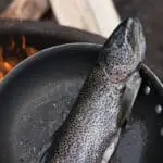 Fish Over a Campfire