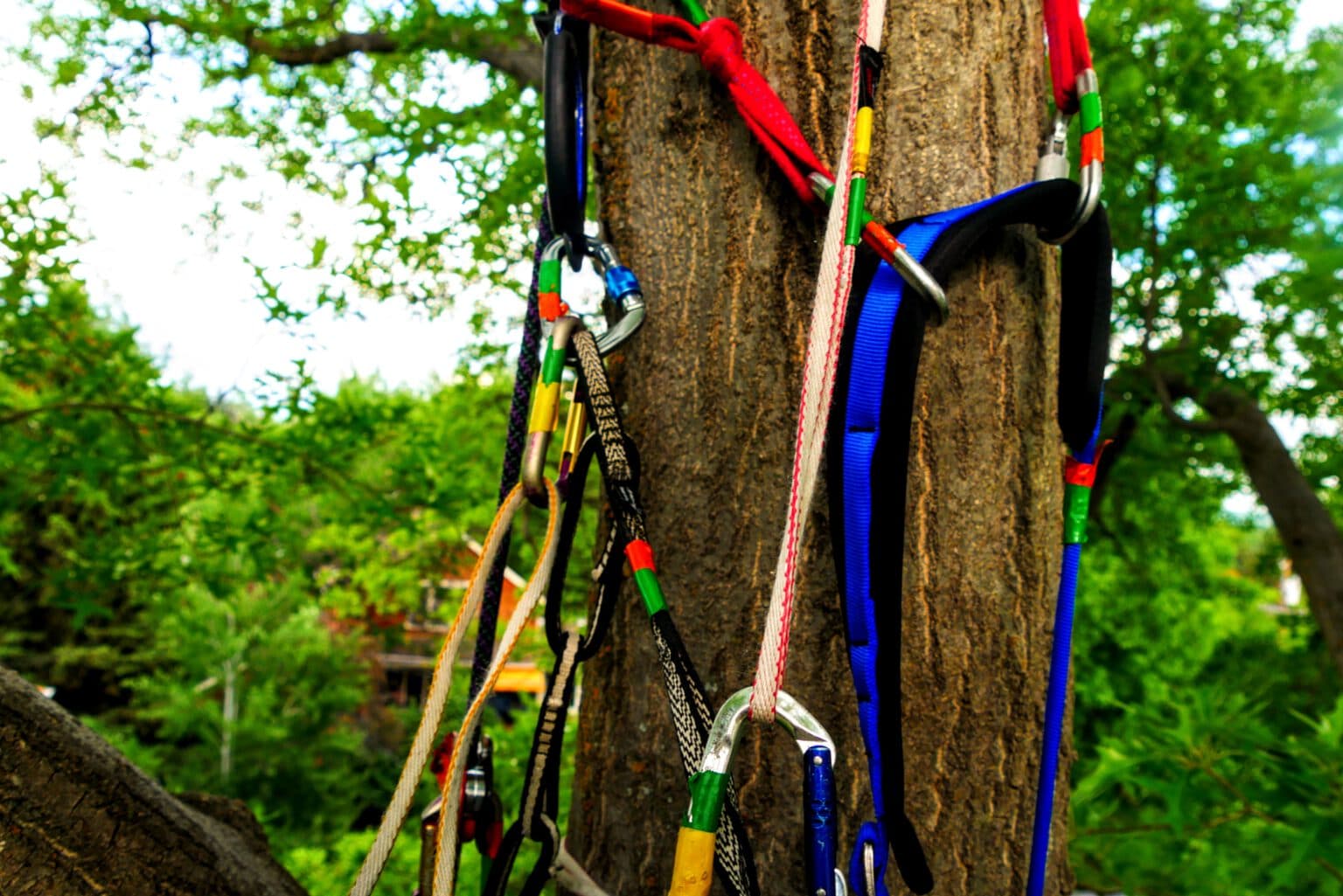 Tree Climbing Gear