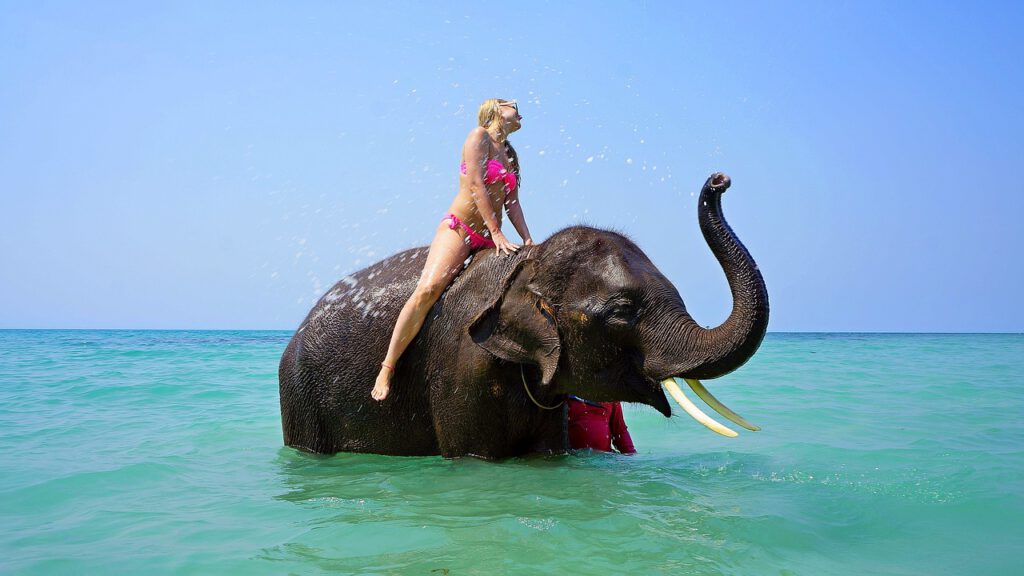 Riding on an elephant, bathing,