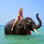 Riding on an elephant, bathing,