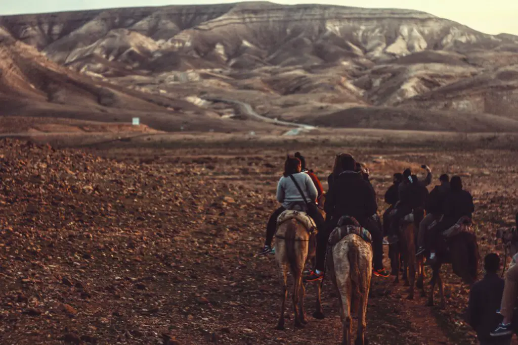 Desert on horseback