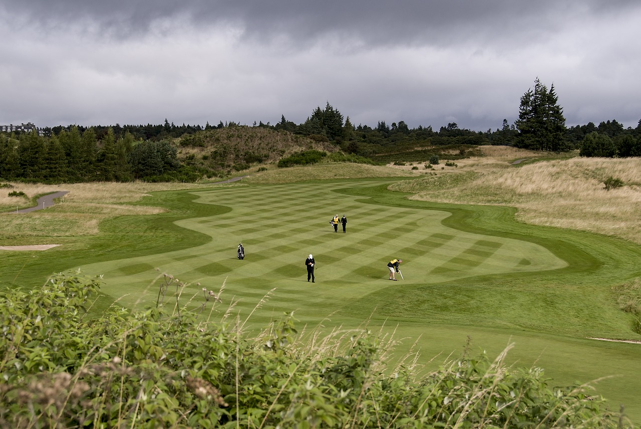 what-is-a-birdie-in-golf-gripoutdoor