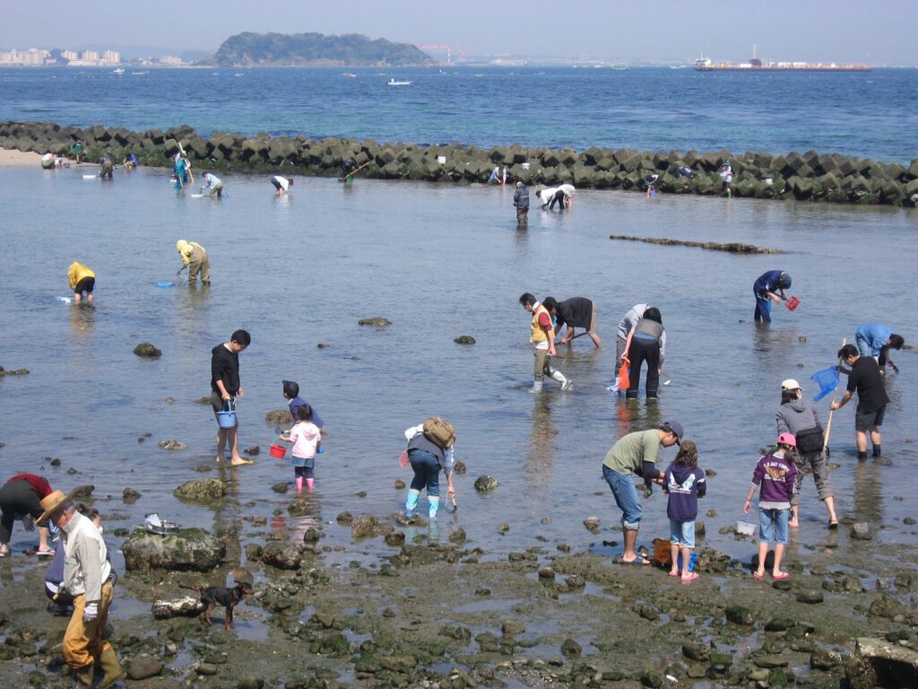 Clam Digging