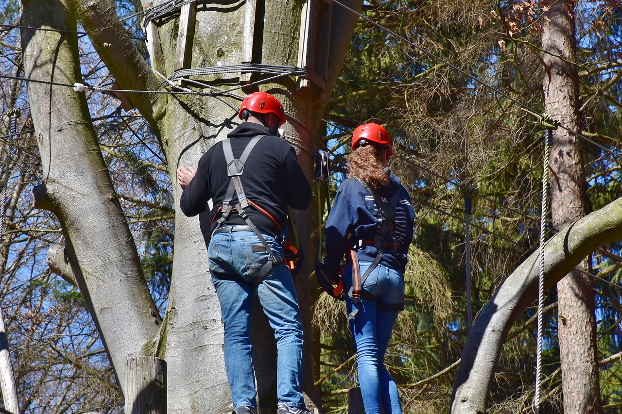 Tree Climbing Harness
