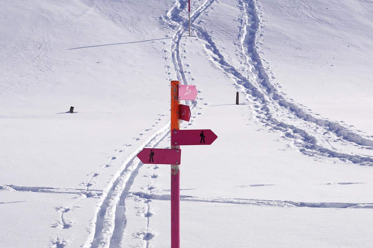 Snowshoeing