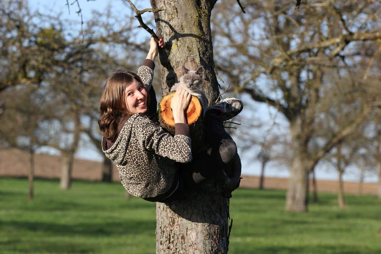 Which is the safest device to use while climbing a tree or in a tree stand?