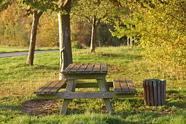 Wood Picnic Tables: Bringing Function and Beauty to Your Outdoor Space