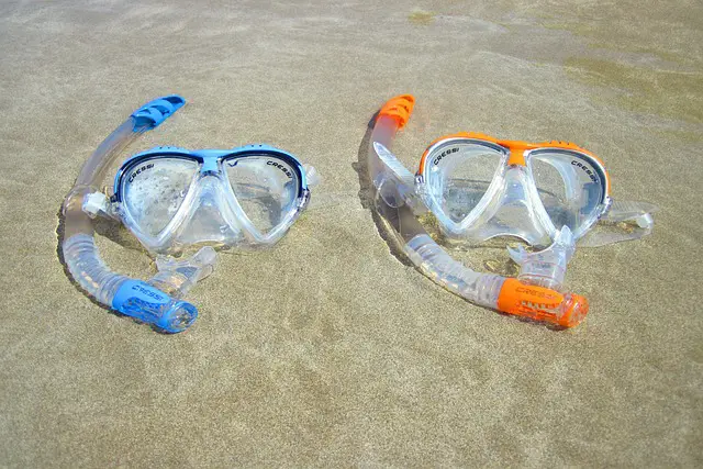 Scuba Diving Equipment: What to Consider Before You Dive?