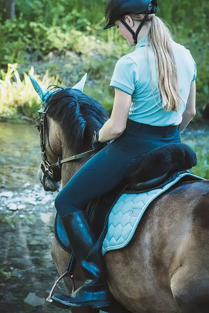 Experience Horseback Riding in Jackson Hole: Take the Journey of a Lifetime