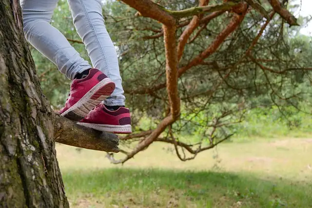 The Ultimate Guide to Tree Climbing Shoes: Finding Your Perfect Pair