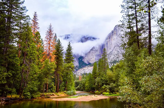 The Ultimate Guide to Yosemite Camping