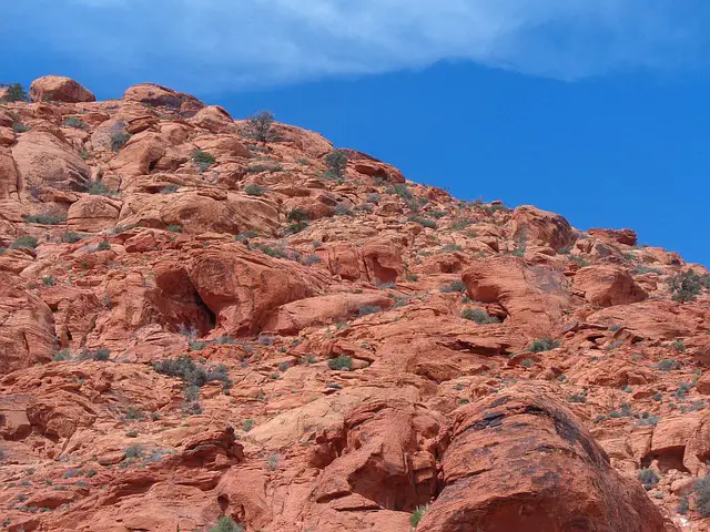 Scaling Heights: A Thrilling Guide to Rock Climbing in Las Vegas