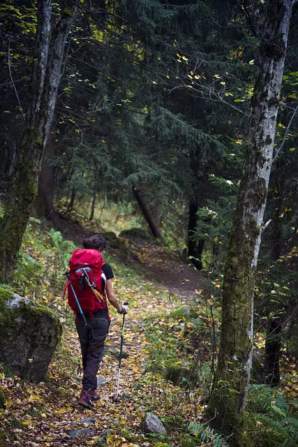 Trekking vs Hiking: Which Outdoor Adventure Suits You Best?