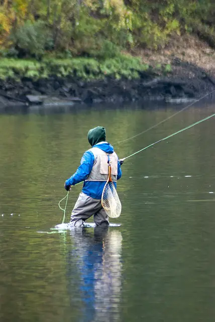 Unlocking the Mysteries of Streamer Fly Fishing: A Comprehensive Guide