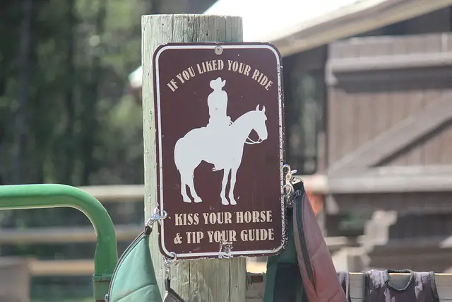 Exploring the Wild: Horseback Riding in Yellowstone