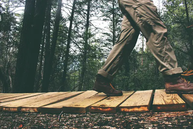 Walking the Trails in Style: The Comprehensive Guide to Trekking Pants