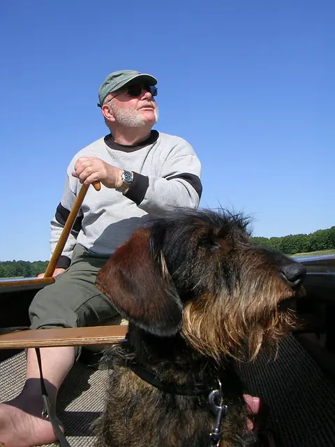 Discovering the Joy of Canoeing with Dogs: Your Ultimate Guide
