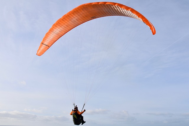 Understanding the Incredible Dynamics of Paragliding Wings